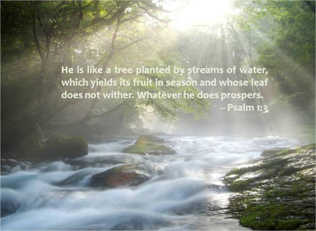 Psalm1-3